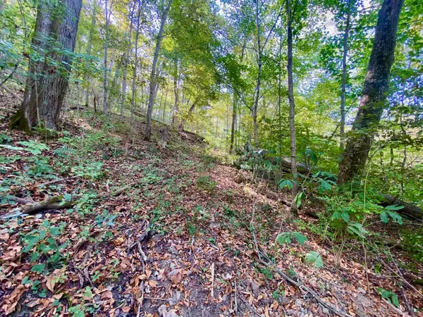 Huntington Twp, OH 45167,6 Eagle Creek Rd