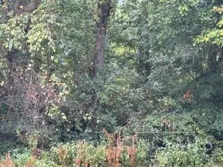 Whitewater Twp, OH 45030,0 Bond Rd