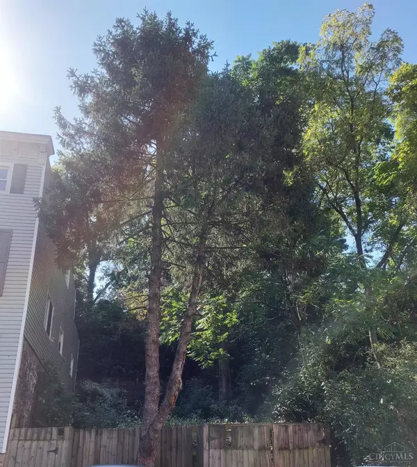 Cincinnati, OH 45225,507 Tafel St