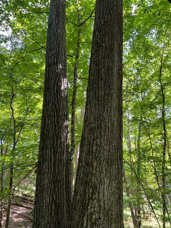 Union Twp, OH 45167,3635 Circle Dr