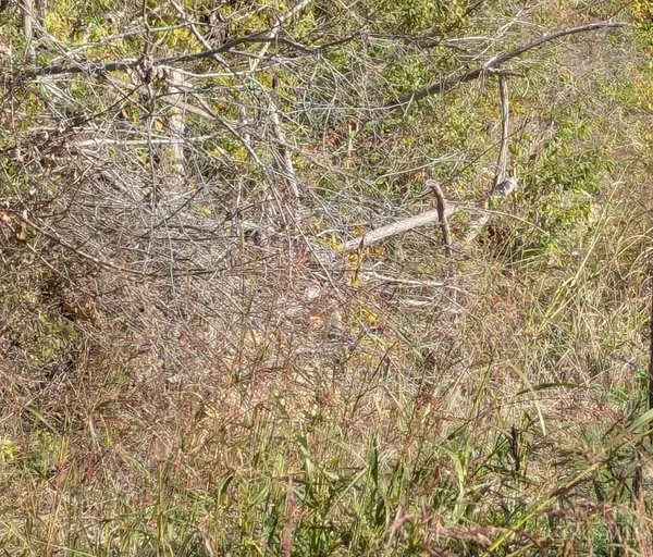 Huntington Twp, OH 45101,9300 Old State