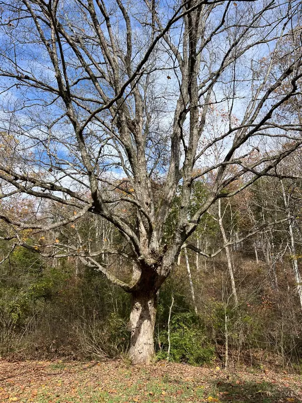 Marshall Twp, OH 45133,0 Harriett Rd