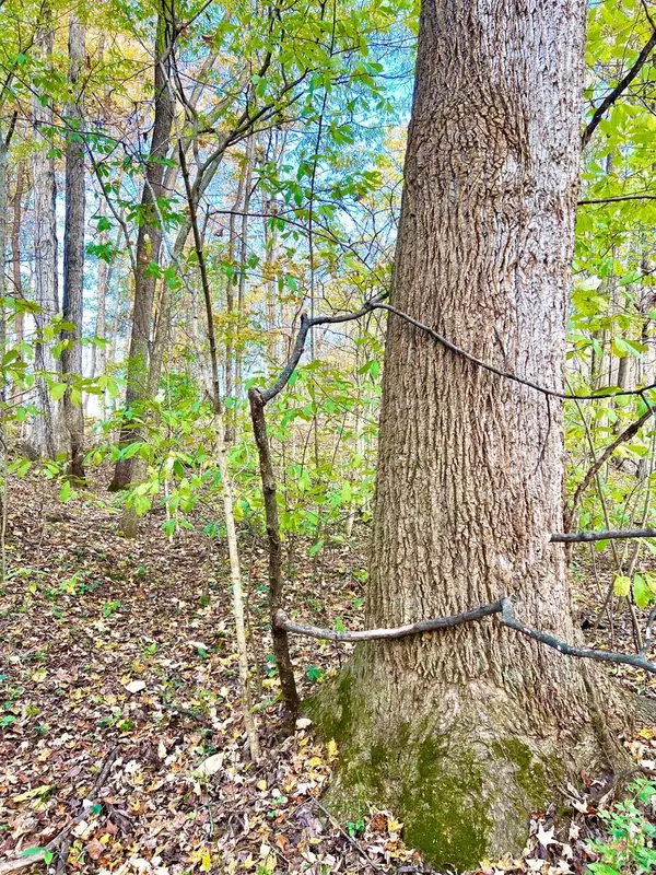 Washington Twp, OH 45153,872 Mullen Rd