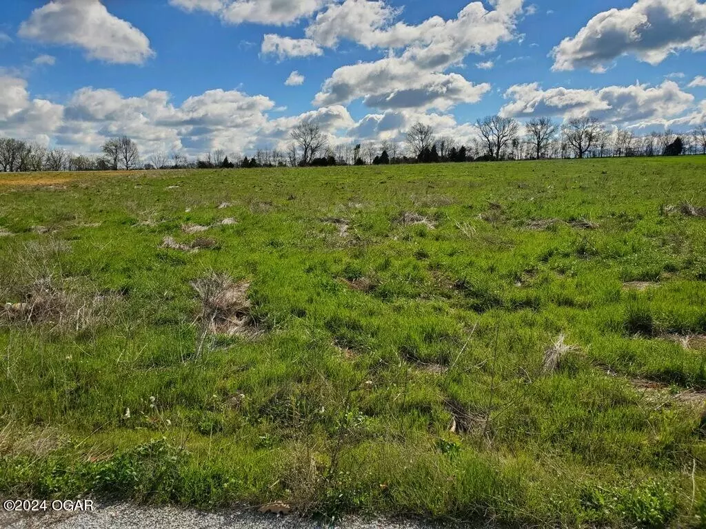 Monett, MO 65708,00 Lot 8 & 13 Private Road 1066