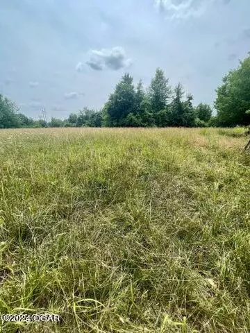 Neosho, MO 64850,XXX S High