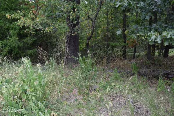 Joplin, MO 64804,Lot 21 Ridgeview Court