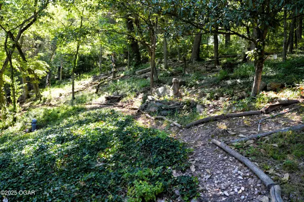 Pierce City, MO 65723,11328 Jolly Mill Lane