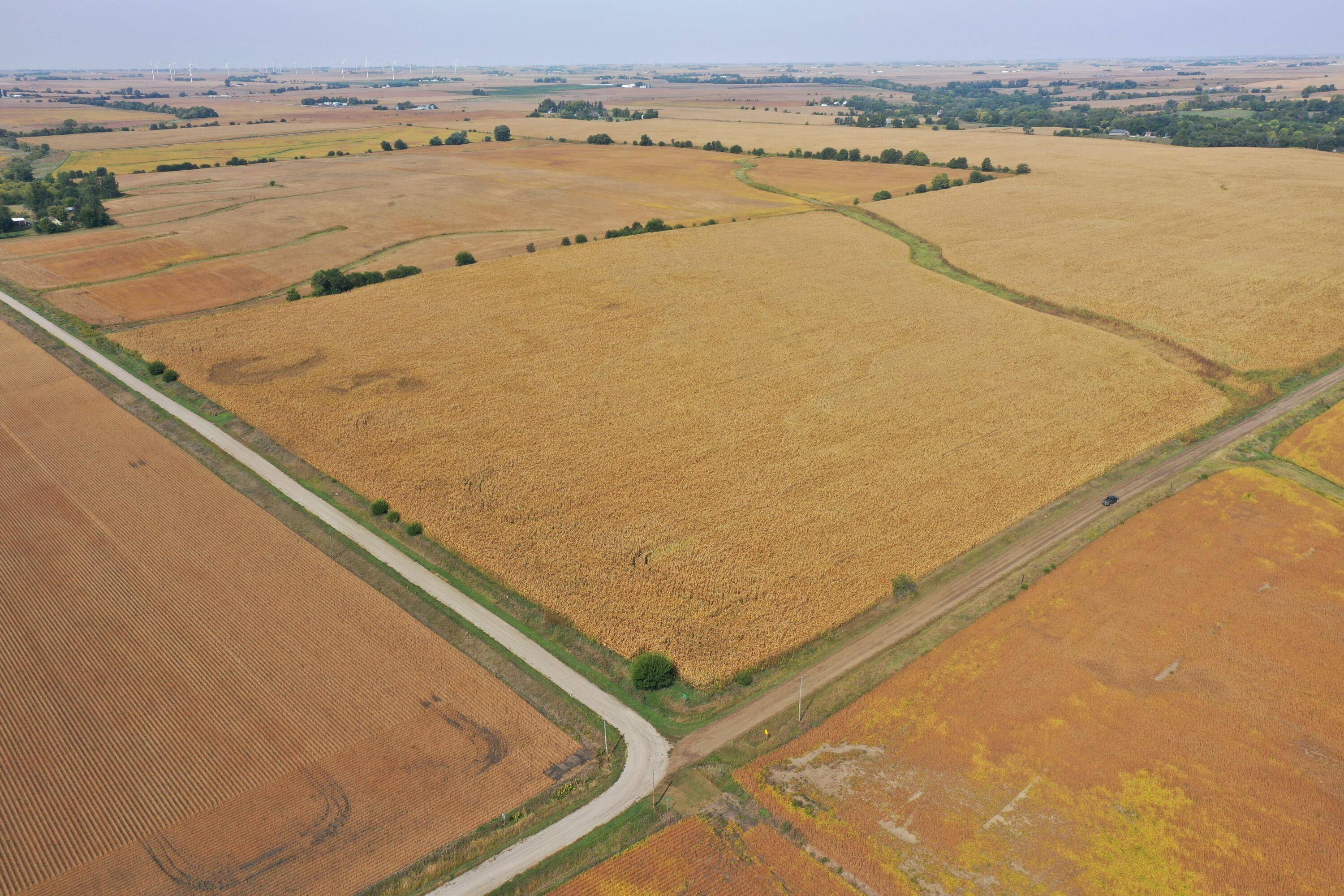 120th ST, Zearing, IA 50278