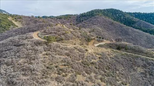 Tehachapi, CA 93561,21680 St Moritz PL