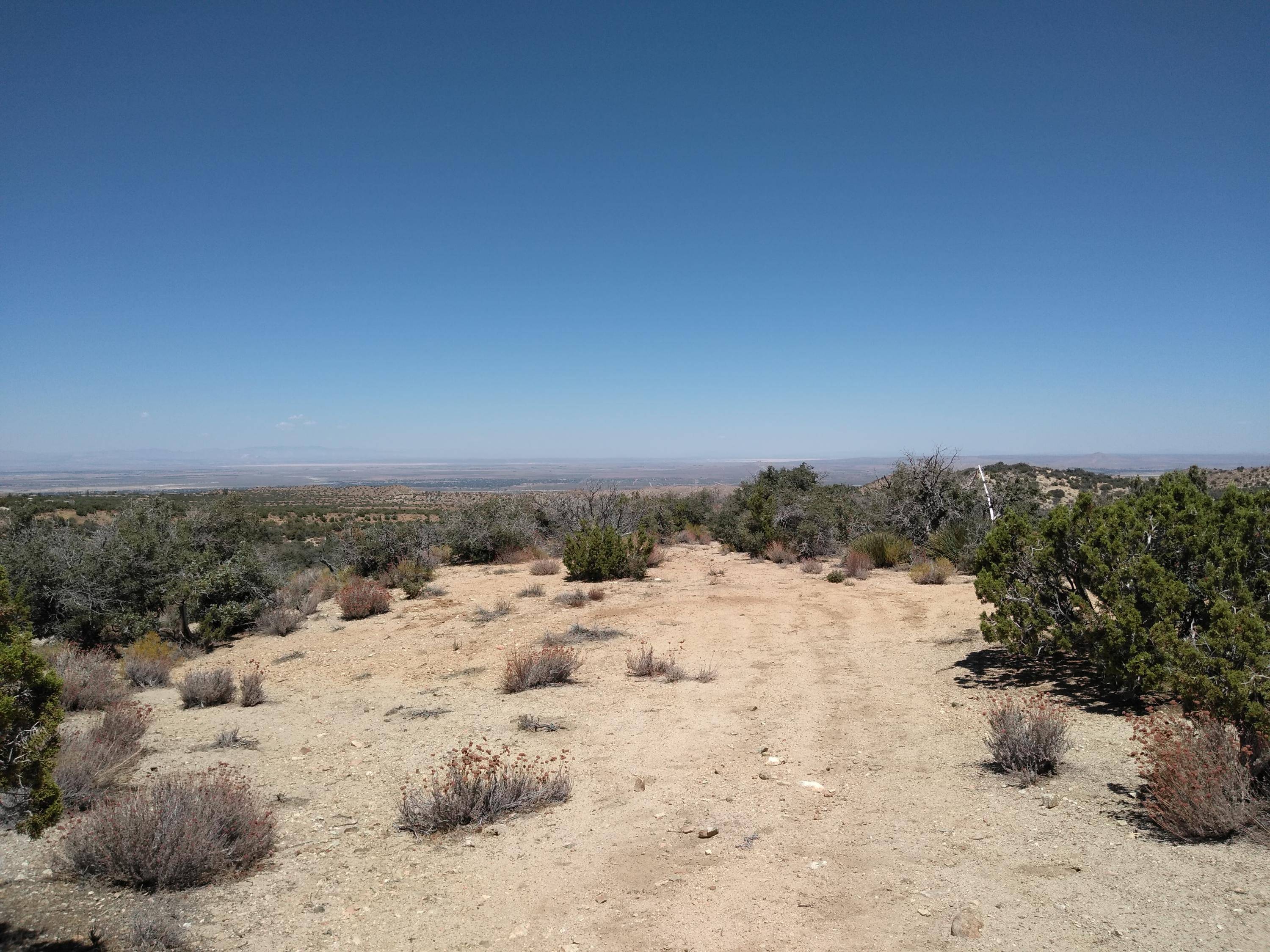 Juniper Hills, CA 93543,Vic 116th St E & Juniper Mesa