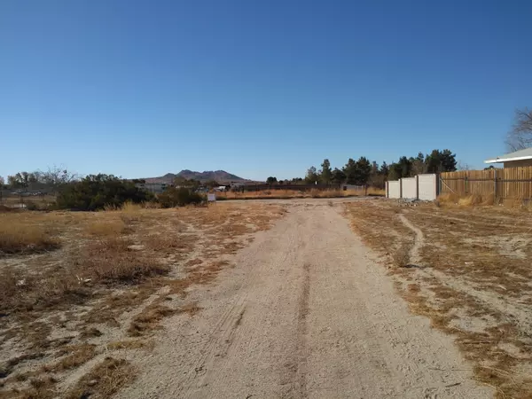 159th St East & Indian Falls A, Lake Los Angeles, CA 93535