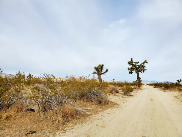 Mojave, CA 93501,W 70th St. W. ST