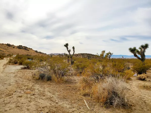 Mojave, CA 93501,W 70th St. W. ST