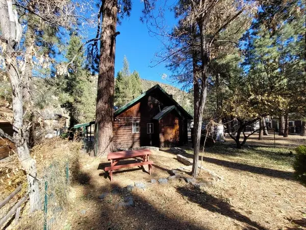 Wrightwood, CA 92397,1475 Ross ST