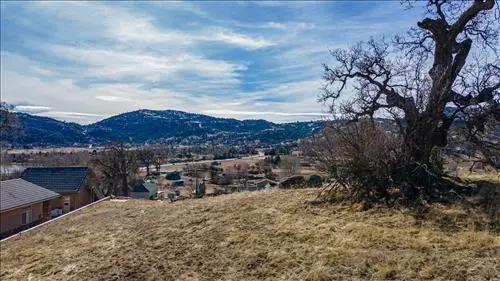 Tehachapi, CA 93561,0 Rolling Oak DR