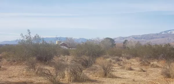 Joshua Lane, Rosamond, CA 93560