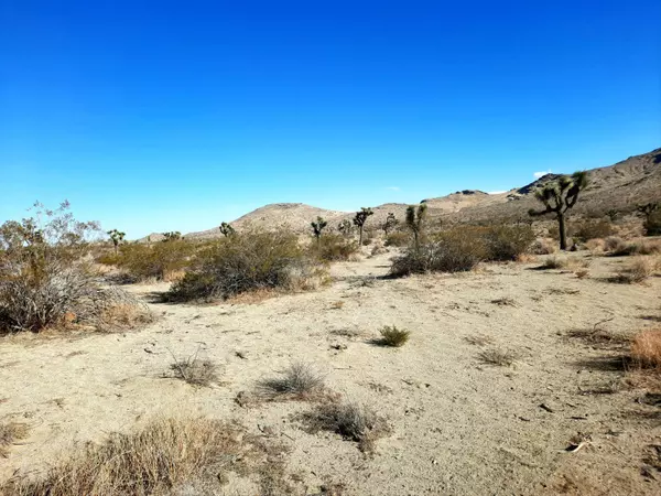 Mojave, CA 93501,1 Mojave