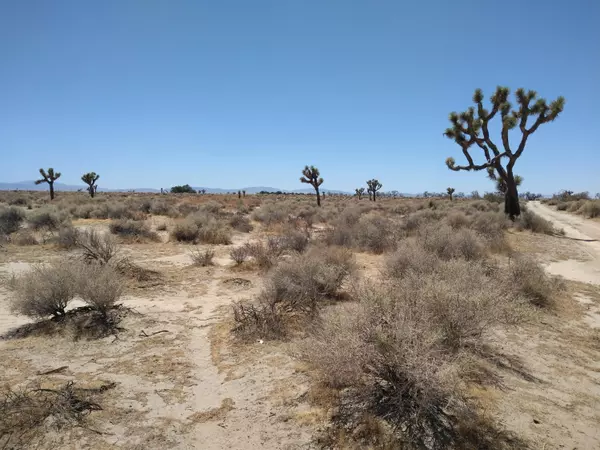 Lancaster, CA 93535,Vicinity I-4 & 122nd St E