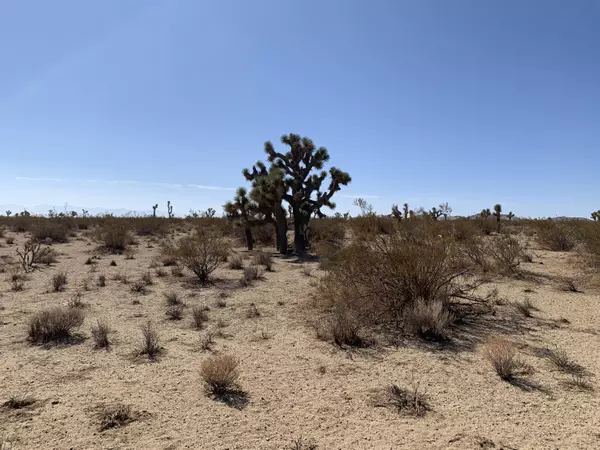 Mojave, CA 93501,Mojave Tropico Road & Longhorn