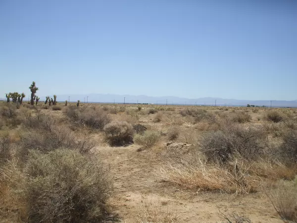 Del Sur, CA 93536,Ave A 12 W 43 St W ST