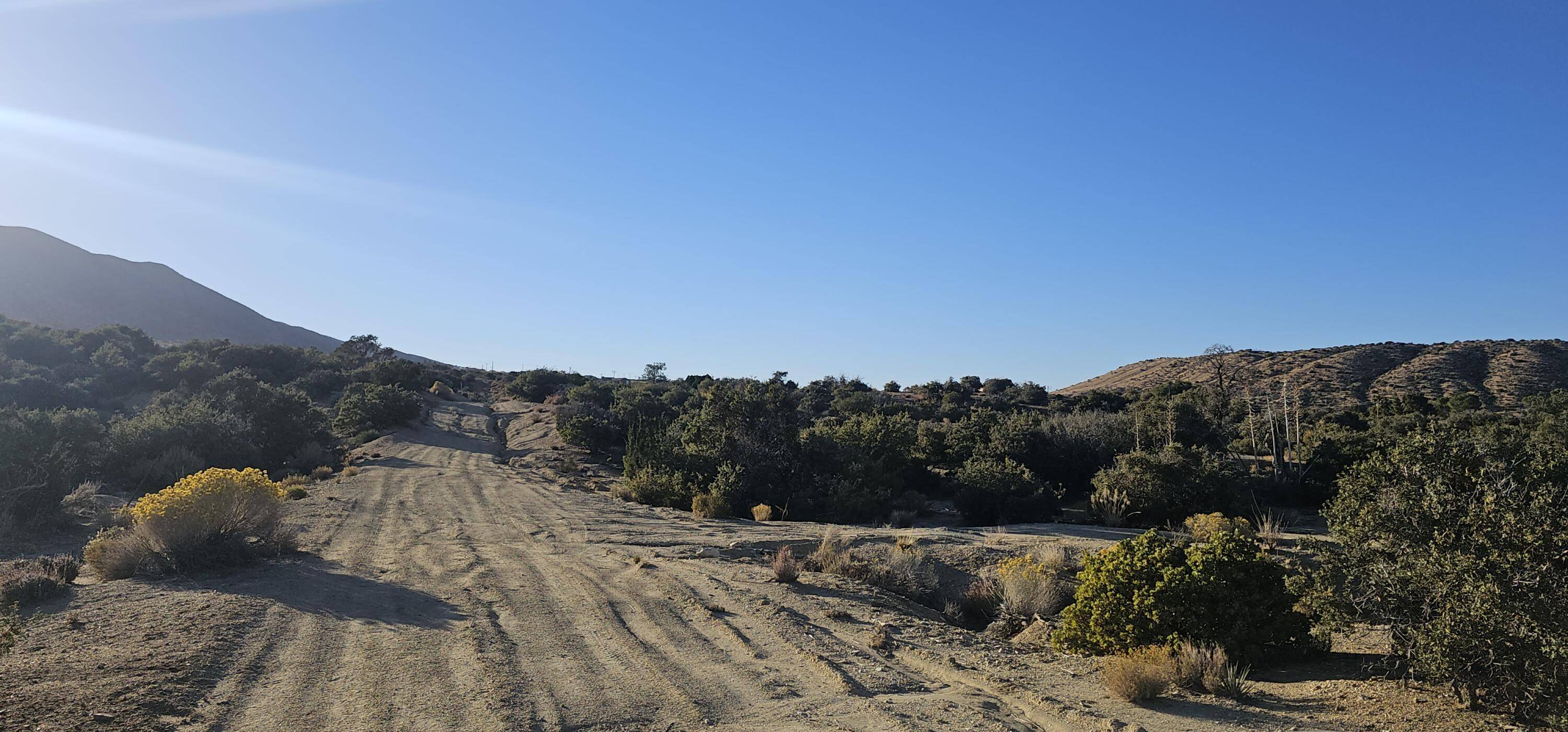 Juniper Hills, CA 93543,Nearwood RD