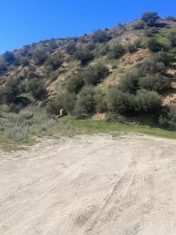 Agua Dulce, CA 91390,0 Silver Cyn Drt Vic Oak RD