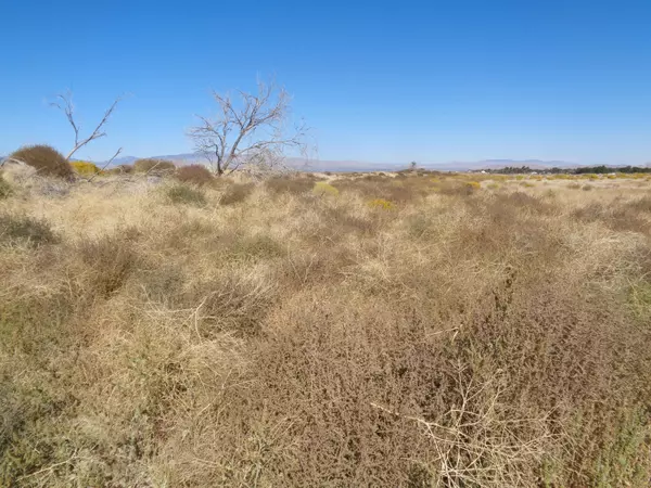 Fairmont, CA 93536,Cor. Ave. C4 & 222nd Stw