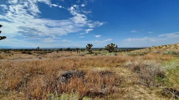 Pearblossom, CA 93553,Ave V-14 Near 115th St East