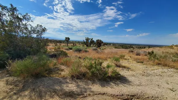 Pearblossom, CA 93553,Ave V-14 Near 115th St East