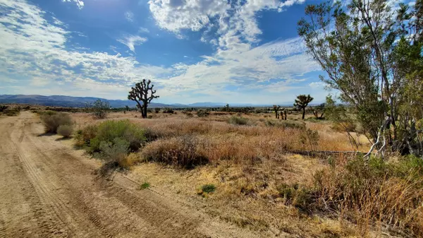 Pearblossom, CA 93553,Ave V-14 Near 115th St East