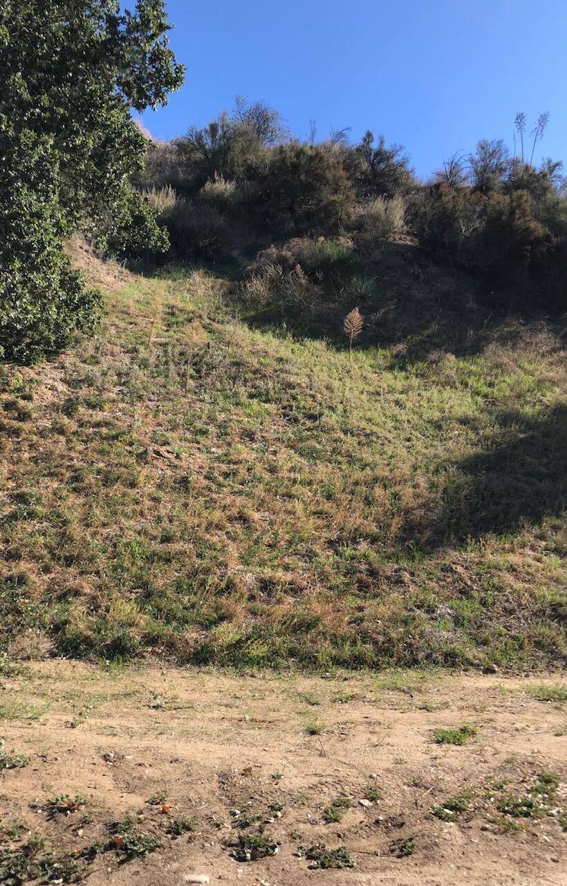 Val Verde, CA 91384,Lincoln AVE