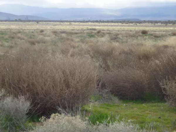 Fairmont, CA 93536,180 W Stw Vic AVE ## A4