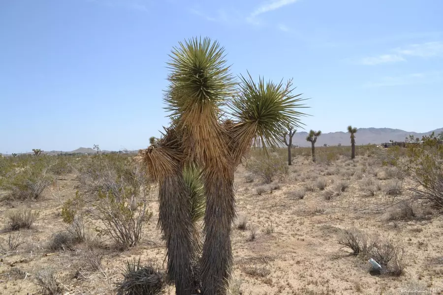 W 46th ST, Mojave, CA 93501