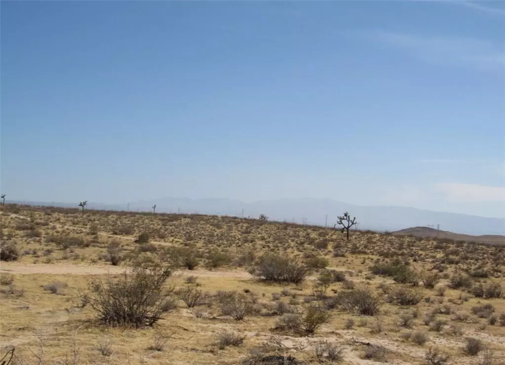 Newberry Springs, CA 92365,0533042180000