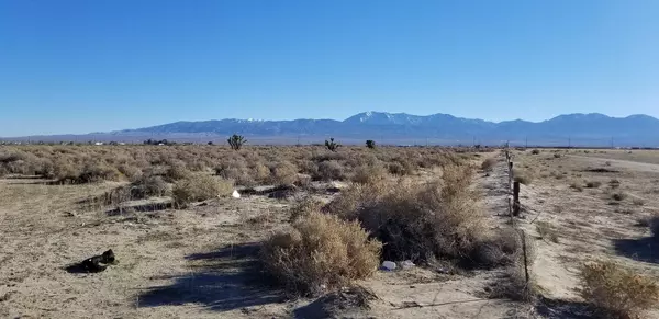 Lake Los Angeles, CA 93591,Avenue Q / 165th St E