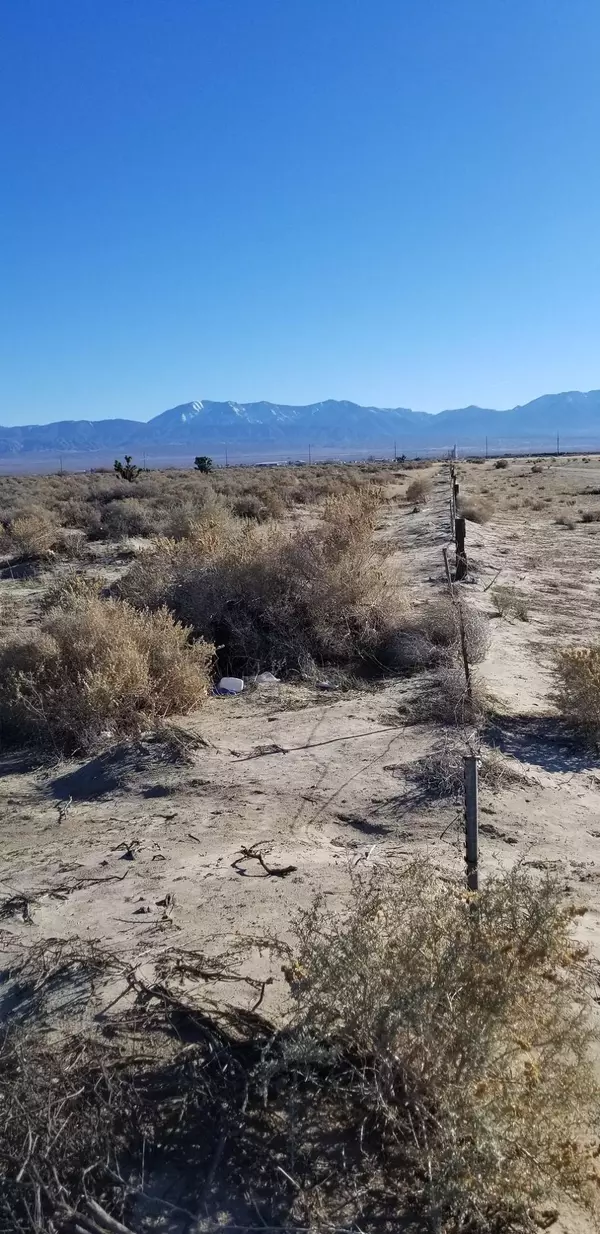 Lake Los Angeles, CA 93591,Avenue Q / 165th St E