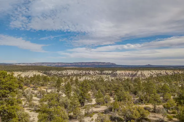 Mt. Carmel, UT 84755,Lot 6 Buffalo Preserve At Zion Mnt