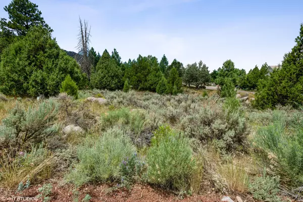 Pine Valley, UT 84781,272 N Cliffrose CIR