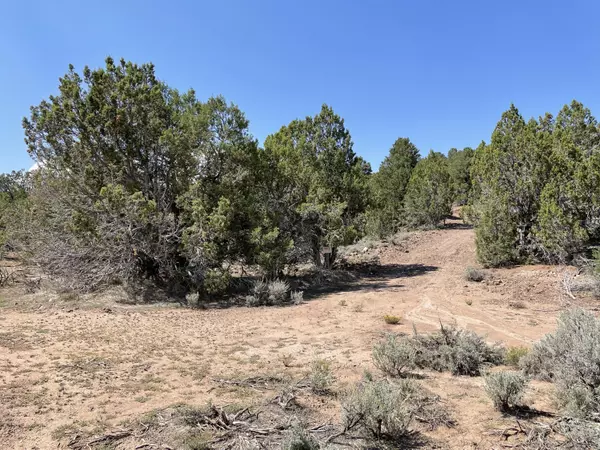 Parowan, UT 84761,20 Acres on 9600 N(#C-0648-0001-0009-4)