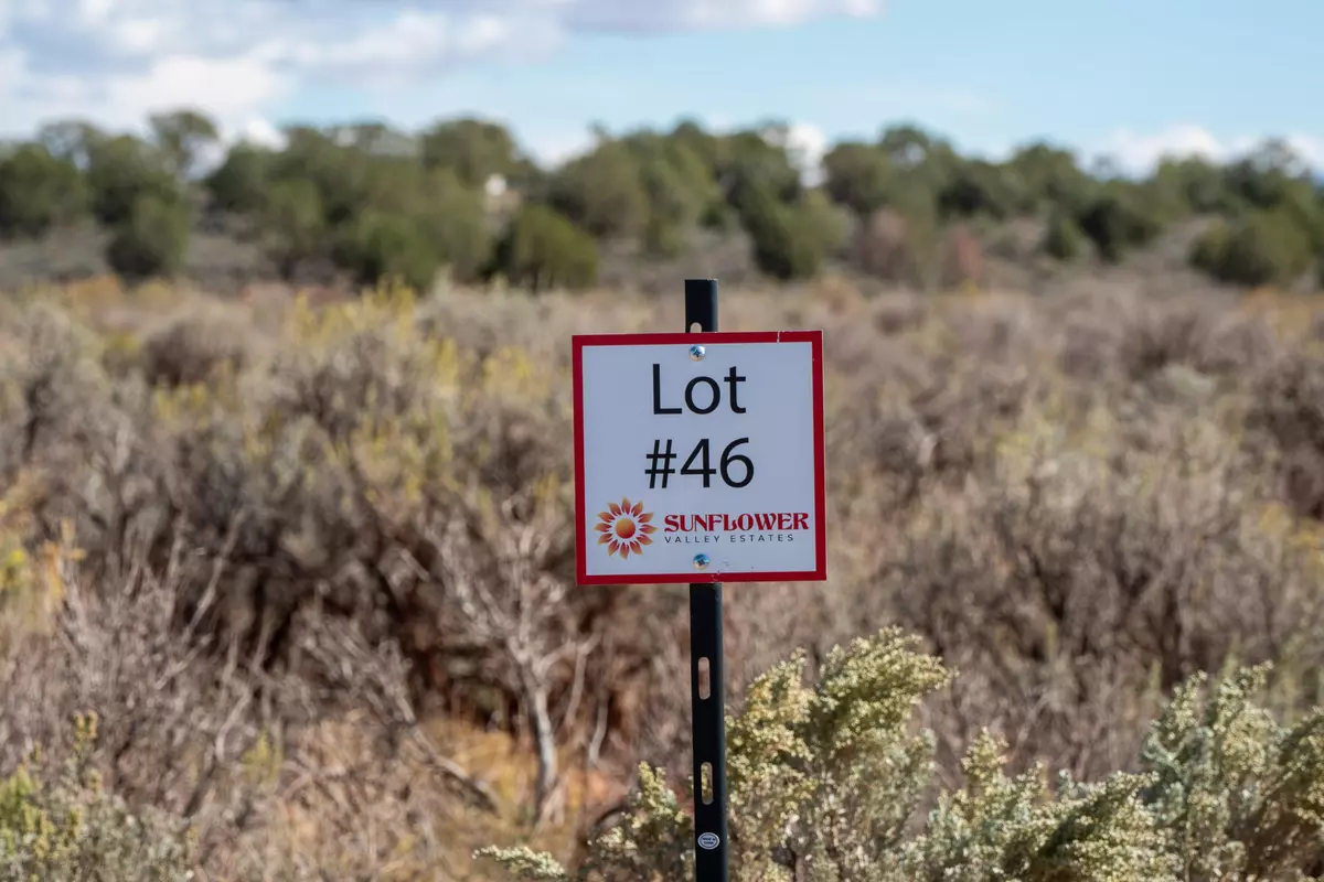 Kanab, UT 84741,Lot 46 Sego Lily Circle W