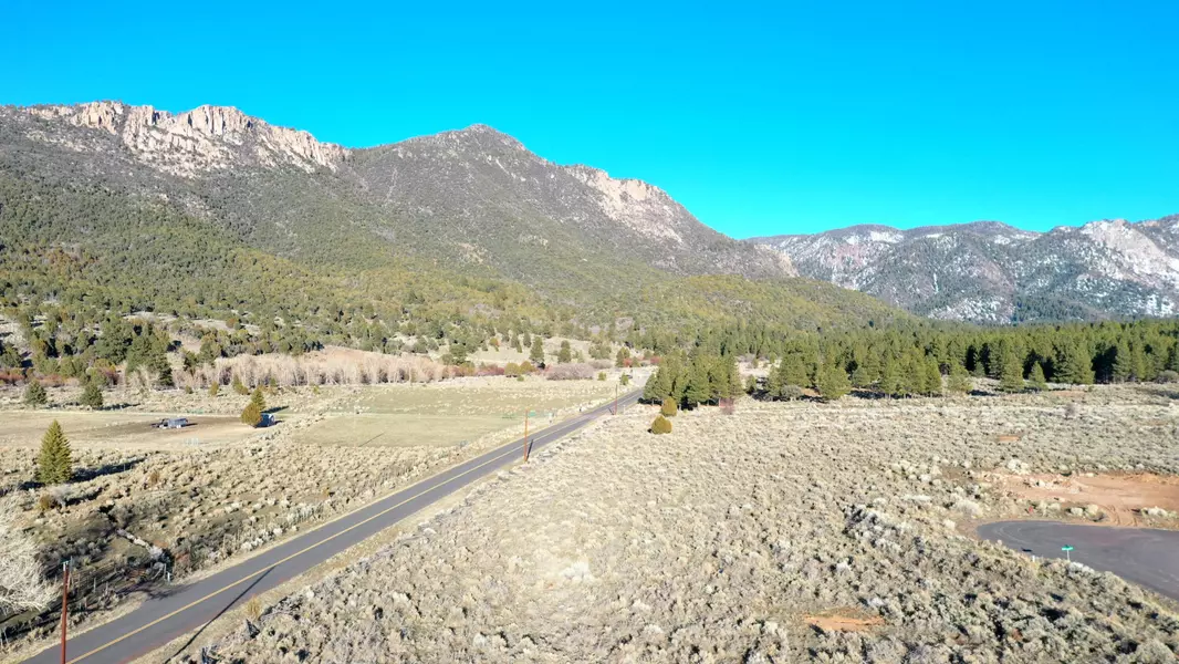 1231 E Bristle Cone RD, Pine Valley, UT 84781