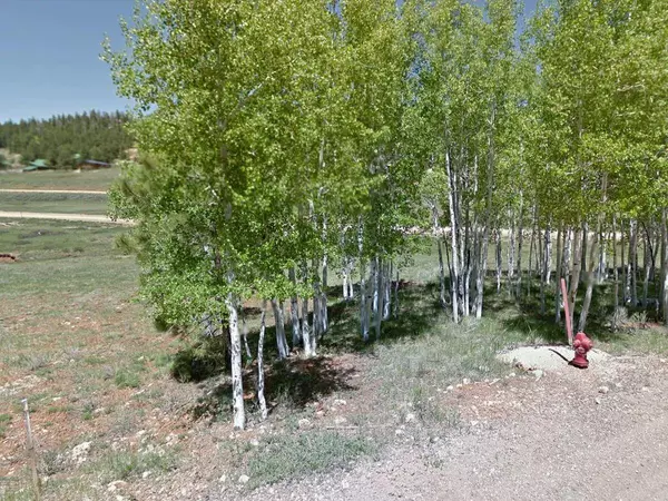 Duck Creek, UT 84762,1905 N White Pine RD