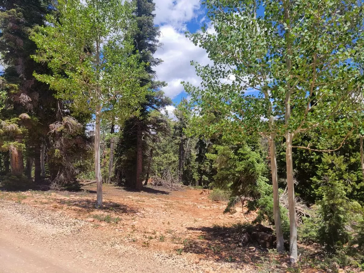 Duck Creek, UT 84762,175 S Lupin LN