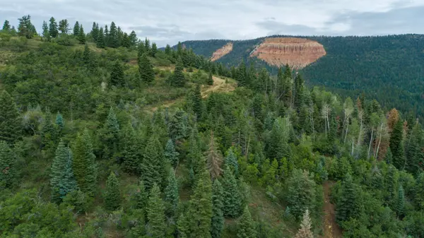 Duck Creek, UT 84762,10 AC W ASHDOWN CANYON DR