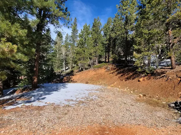 990 W Bear Track, Duck Creek, UT 84762