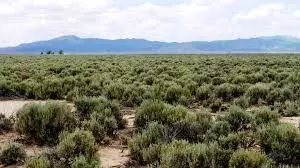 Beryl, UT 84714,LOTS Garden Valley Ranchos