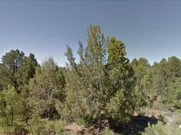 Duck Creek, UT 84762,Zion Hunting Est Blk 1 Lot 17