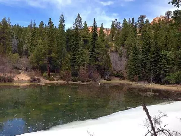 Duck Creek, UT 84762,10 Hay Canyon Road