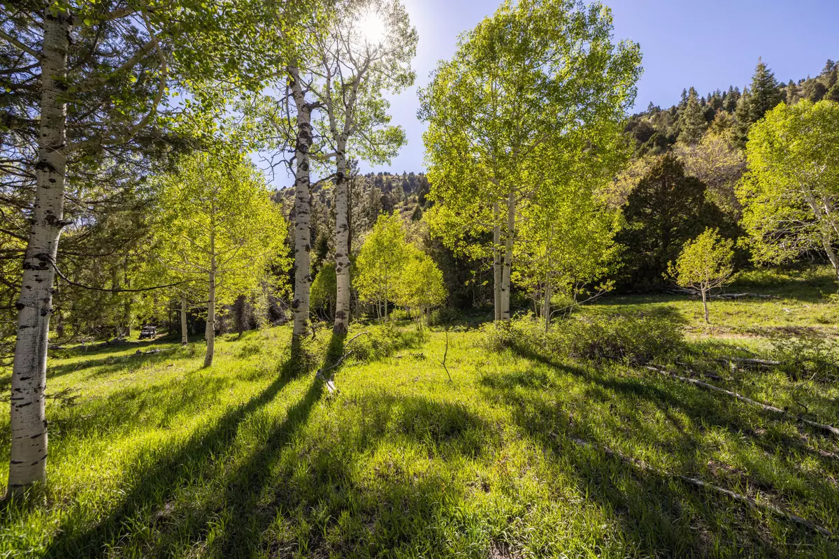 Duck Creek, UT 84762,10 Hay Canyon Road