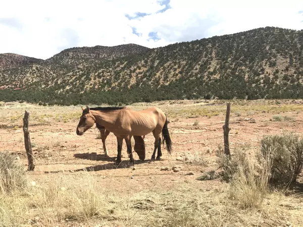 Paragonah, UT 84760,Center Red Creek Canyon RD